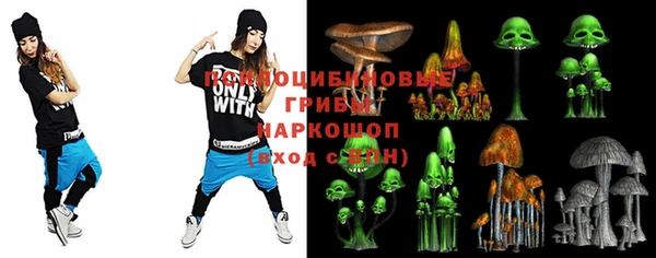 mix Богородицк