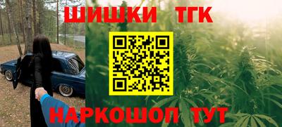 СК Дубна