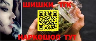 СК Дубна