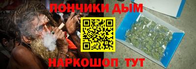 СК Дубна